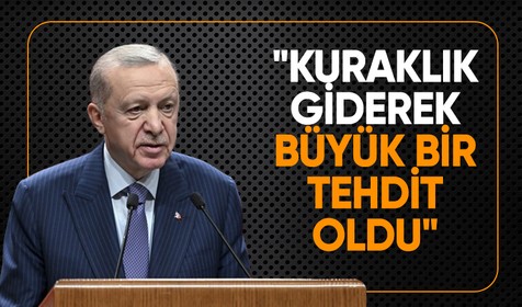 Cumhurbaşkanı Erdoğan'dan Dünya Çevre Günü mesajı: Hepimize büyük sorumluluklar düşüyor