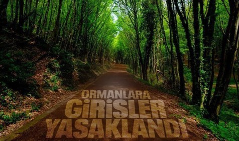 Son dakika! İstanbul'da ormanlık alanlara giriş kısıtlandı