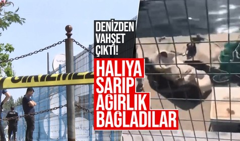 İstanbul Büyükçekmece'de bir kadını halıya sarıp denize attılar