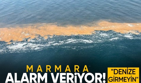 Marmara Denizi alarm veriyor! Uzmanlar uyardı: Denize girmeyin
