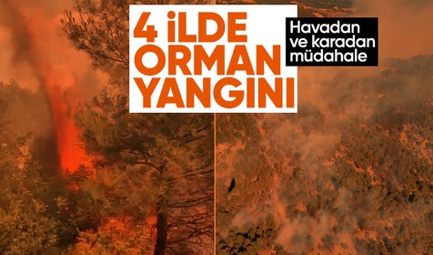 Adana, İzmir, Tokat ve Balıkesir'de orman yangını