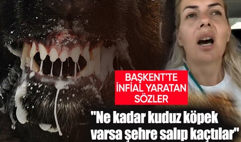 Ankara'nın kabusu olan skandal: Ne kadar kuduz köpek varsa şehre salıp kaçtılar