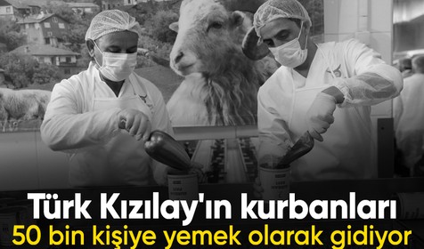 Türk Kızılay'ın kurbanları 50 bin kişiye yemek olarak gidiyor