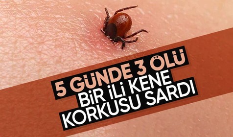 Sivas'ta 5 günde 3 kişi keneden hayatını kaybetti! Valilik toplam rakamı açıkladı
