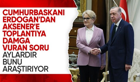 Zirveden dikkat çeken ayrıntı! Cumhurbaşkanı Erdoğan, Akşener'e "Sizce seçimi neden kaybettik?" diye sormuş