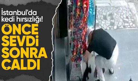 İstanbul'da kedi hırsızlığı olayı: Önce sevdi, sonra çaldı