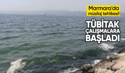Marmara'da müsilaj kuşkusu! Örnekler TÜBİTAK'a gönderildi