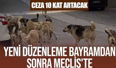 Sokak hayvanlarıyla ilgili düzenleme bayramdan sonra Meclis'te