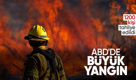 Los Angeles'ta çıkan orman yangınında 1200 kişi tahliye edildi