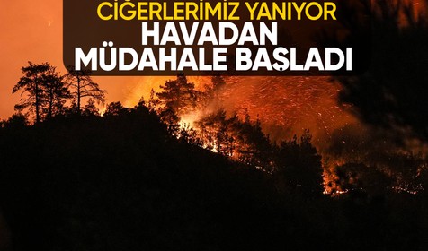 Çanakkale'de 14 saattir kontrol altına alınamayan orman yangınına havadan müdahale başladı