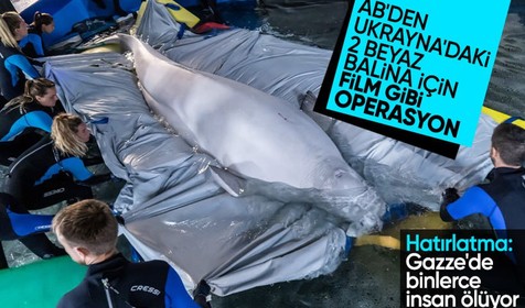 Konu Gazze olunca 3 maymunu oynayan AB Ukrayna'daki iki beyaz balina için film gibi operasyon düzenledi