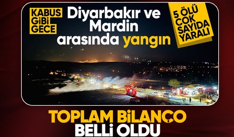 Diyarbakır ve Mardin'deki yangınların hasar tespiti tamamlandı