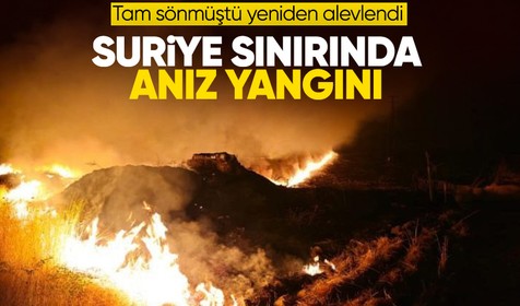 Şırnak'ın Suriye sınırında anız yangını: 7 köy etkilendi