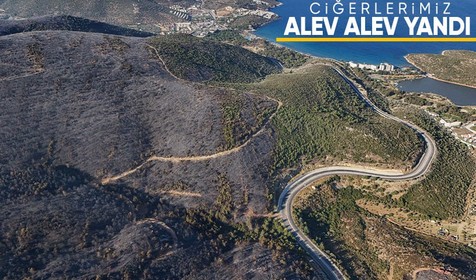 İzmir'de zarar gören ormanlık alan havadan görüntülendi