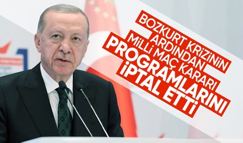 Bozkurt krizinin ardından Cumhurbaşkanı Erdoğan'dan milli maç kararı! Programları iptal etti, Türkiye-Hollanda maçını tribünden izleyecek