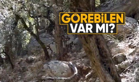 Türk Polis Teşkilatı paylaştı: Kamufle olan Mehmetçik'i görebilen var mı?