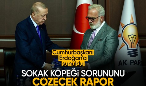 Sahipsiz köpeklere ilişkin üç dosyalık rapor Cumhurbaşkanı Erdoğan'a sunuldu