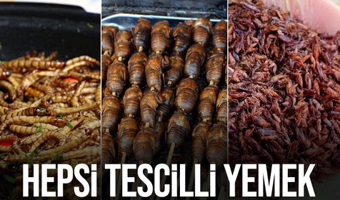 Singapur'da çekirge ve süper solucanlar dahil 16 böcek türü yiyecek olarak onaylandı