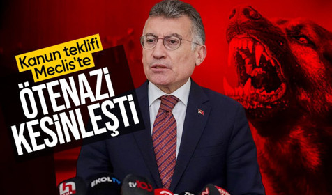 Son Dakika: Başıboş sokak köpeklerine ilişkin teklif TBMM'ye sunuldu! Ötenazi kesinleşti