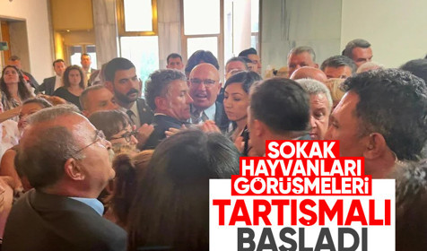 Komisyonda sokak hayvanları tartışması: Görüşmeler Plan ve Bütçe Komisyonu salonuna alındı