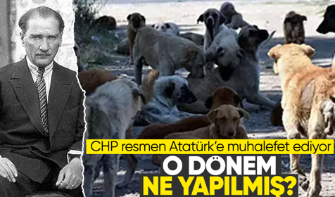 CHP resmen Atatürk'e muhalefet ediyor! İşte o dönemki sokak köpeği kararı