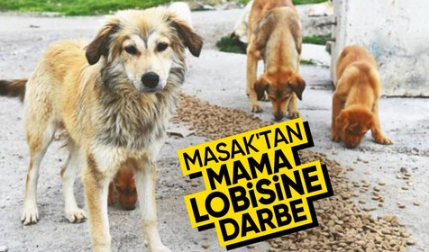 MASAK, mama lobisini deşifre etti