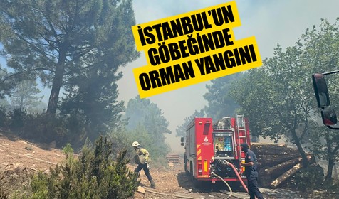 Aydos Ormanı'nda yangın çıktı