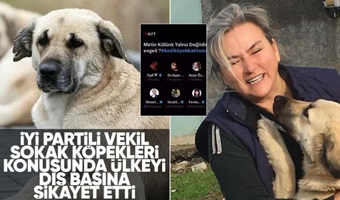 İYİ Partili vekilin sokak köpekleriyle alakalı dış basına konuşması tepki çekti