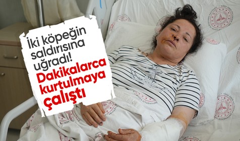 Niğde'de köpeklerin saldırısına uğrayan kadın dakikalarca kurtulma mücadelesi verdi