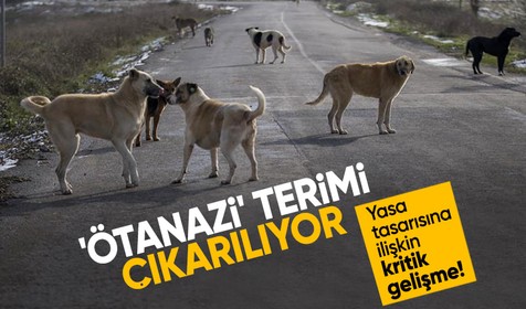 Sokak hayvanları yasa teklifinden "ötanazi" kelimesi çıkarıldı