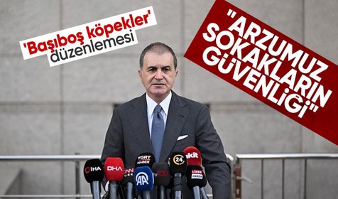 Ömer Çelik'ten sokak hayvanları açıklaması: Katliam yasası diye sunulması haksızlık