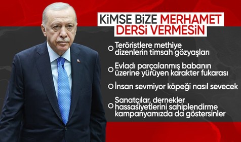 Cumhurbaşkanı Erdoğan'dan başıboş köpek sorunu değerlendirmesi