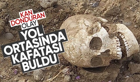 Gümüşhane'de bir garip olay! Yol ortasında insan kafatası bulundu