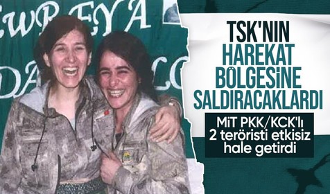 TSK'nın harekat bölgesine saldırı hazırlığındaki PKK'lı 2 terörist etkisiz