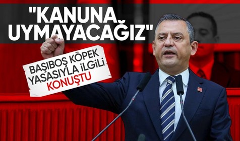 Özgür Özel'den başıboş köpek yasasına ilk yorum: AYM'ye gideceğiz