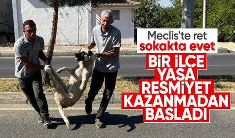 Sokak köpekleri yasasına TBMM'de ret oyu veren DEM Parti'nin ilçe belediye hayvanları ilk toplatan belediye oldu