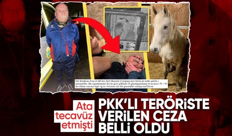 Ata tecavüz etmişti! PKK'lı teröriste verilen ceza belli oldu