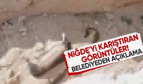 Köpek katliamı iddiası: Niğde Belediyesi açıklama yaptı