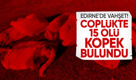 Edirne'de çöplükte 15 köpek ölü bulundu: Belediye başkanından suç duyurusu