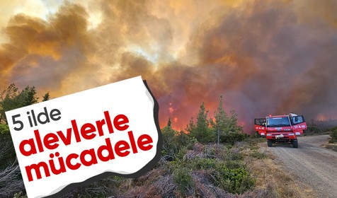Çanakkale, Bolu ve Manisa'da orman yangını: Tarihi yarımadada iki bölge ziyarete kapatıldı