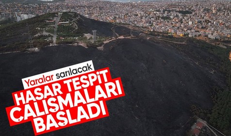 Orman yangınlarından etkilenen bölgelerde hasar tespit çalışmaları başladı