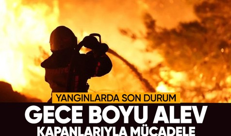 Türkiye alev alev yanıyor! Yangınlara müdahalede il il son durum