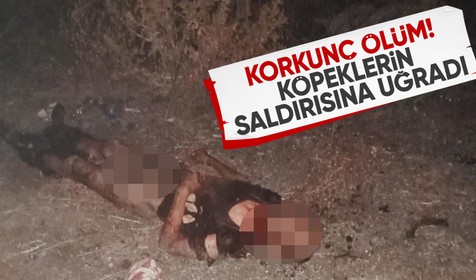 Fatih'te başıboş köpeklerin saldırısına uğrayan kişi hayatını kaybetti