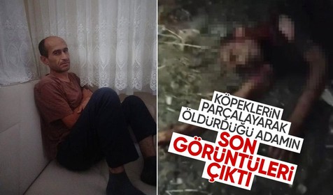 Fatih'te sokak köpeklerinin parçalayarak öldürdüğü adamın son görüntüleri