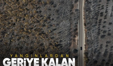 Orman yangınlarının ardından Ege'nin yeşilliği yerini griliğe bıraktı