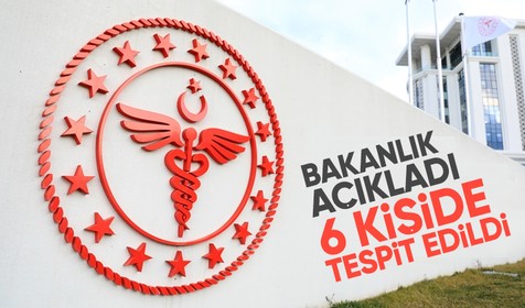 Sağlık Bakanlığı'ndan 'Batı Nil Virüsü' açıklaması: 6 kişide tespit edildi