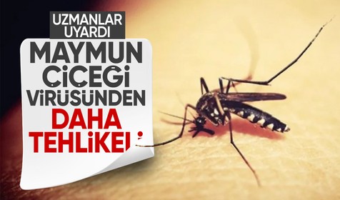 Uzmanlar uyarıyor: Yaşlılarda beyne yerleşiyor, Maymun Çiçeği virüsünden daha tehlikeli