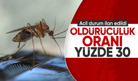 ABD alarma geçti! Tedavisi yok öldürücülük oranı yüzde 30