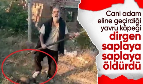 Yaşlı adam yavru köpeği dirgen saplayarak öldürdü