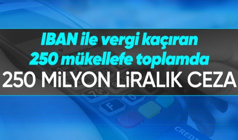 IBAN üzerinden tahsilat yaparak vergi kaçıran 250 mükellefe toplamda 250 milyonluk ceza kesildi